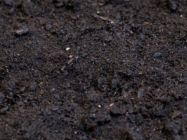 Soil, Compost, Aggregate